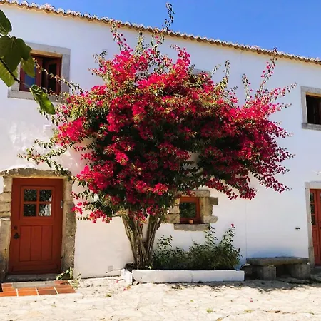 Tatil Evi Boutique