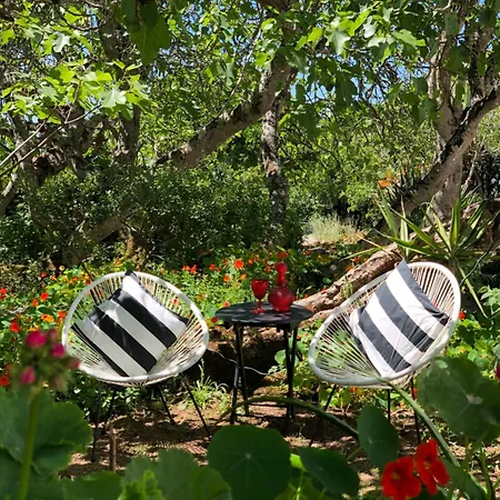 Tatil Evi Boutique *
